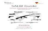 Zambia - SALW Guide
