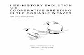 LIFE-HISTORY EVOLUTION COOPERATIVE BREEDING