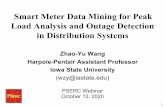Smart Meter Data Mining for Peak Load Analysis and Outage ...