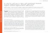 A role for cell sex in stem cell-mediated skeletal muscle regeneration: female cells have higher muscle regeneration effi ciency