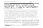 Platelet-derived growth factor-induced Akt phosphorylation ...