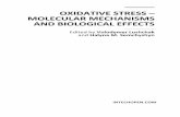 Nitric Oxide Synthase and Oxidative Stress: Regulation of Nitric Oxide Synthase Chapter 4 of Oxidative Stress-Molecular Mechanisms and Biological Effects
