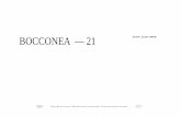 BOCCONEA — 21 - Publications