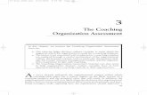The Coaching Organization Assessment - Sage Publications