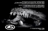 GEOLOGY AND MORPHOLOGY OF THE CHIONOTRYPA CAVE (FALAKRO MT, MACEDONIA, GREECE)