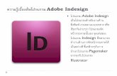 โปรแกรม Adobe Indesign เบื้องต้น