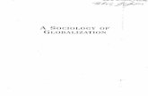 A Sociology Of Globalization Saskia Sassen