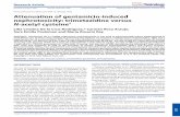 Attenuation of gentamicin-induced nephrotoxicity: trimetazidine versus N-acetyl cysteine