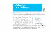 Whole Numbers - NCERT