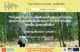 Bamboo Plantation and Land Titling Preparation in Lao PDR (Lao and English)