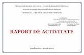 RAPORT DE ACTIVITATE - Direcția Generală Educație și ...