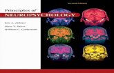 Principles of Neuropsychology