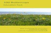 100 Buttercups - Glow Blogs