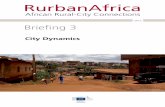 RurbanAfrica Briefing 3: City Dynamics