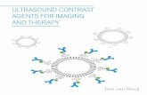 ULTRASOUND CONTRAST AGENTS FOR IMAGING AND ...