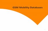 GSM Mobility Databases
