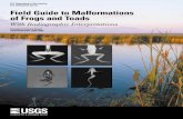 Field Guide to Malformations of Frogs and Toads With Radiographic Interpretations