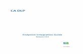 CA DLP Endpoint Integration Guide