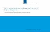 S4C Baseline Report Horticulture Kano Nigeria - RVO