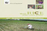 SRI Rice_report_2007 WWF India.pdf