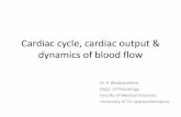 Cardiac cycle mls