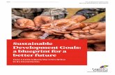 Sustainable Development Goals: a blueprint for a better future