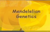 Mendel's genetics - Peoria Public Schools