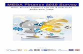 MEDA Finance 2010 Survey - ENPI CBC Med