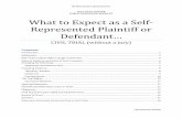 What to Expect as a Self-Represented Plaintiff or Defendant…