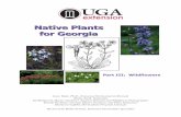 Native Plants For Georgia - UGA