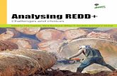 A stepwise framework for developing REDD+ reference levels