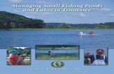 Managing Small Fishing Ponds and Lakes in Tennessee