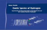 Exotic species of Hydrogen
