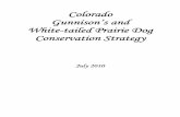 Colorado Gunnison's & White-tailed Prairie Dog Conservation ...