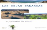Las Islas Canarias expose