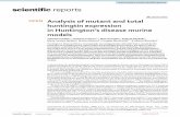 Analysis of mutant and total huntingtin expression in ... - Nature