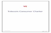 Telecom Consumer Charter - Vi