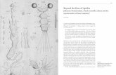 'Beyond the lines of Apelles. Swammerdam and the Representation of Insect Anatomy'