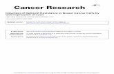 Induction of Retinoid Resistance in Breast Cancer Cells by Overexpression of cjun1