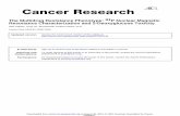 The multi-drug resistance phenotype: 31P NMR characterization and 2-deoxyglucose toxicity (Cancer Res)