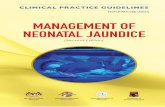 CPG Management of Neonatal Jaundice (Second Edition).pdf