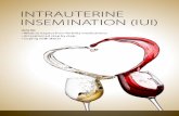 intrauterine insemination (iui) - Parents of Fertility