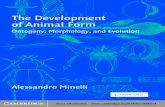 The Development of Animal Form: Ontogeny, Morphology ...