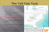 The Tell-Tale Tusk