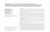 Significance of cyclin D1 overexpression in transitional cell carcinomas of the urinary bladder and its correlation with histopathologic features