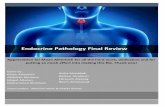 Endocrine Pathology Final Review - KSUMSC