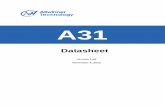 A13 Datasheet V1.01
