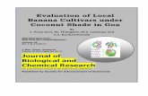 Evaluation of Local Banana Cultivars under Coconut Shade in ...