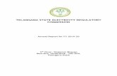 TELANGANA STATE ELECTRICITY REGULATORY ...