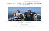 Status of Yellow Perch in Lake Michigan 2010-2011 - Great Lakes ...